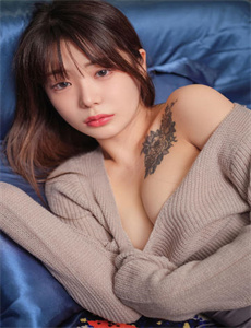 《樊少皇电视剧》